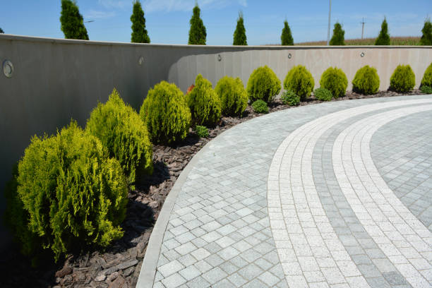 Reasons to Select Us for Your Driveway Paving Requirements in Boerne, TX